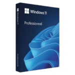 Microsoft Windows 11 Professionnel - (clé de produit)