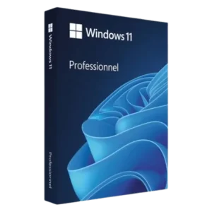 Microsoft Windows 11 Professionnel - (clé de produit)