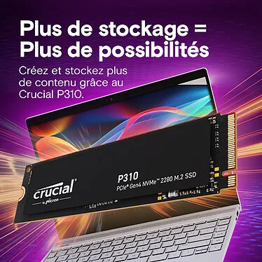 Crucial P310 – SSD 1 To – 3D NAND M.2 2280 NVMe – PCIe 4.0 x4 + Dissipateur – Image 2
