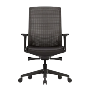 Ofinto Ergo chaise ergonomique Noire avec accoudoirs - Soutien lombaire réglable