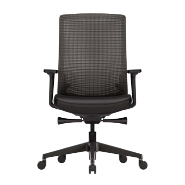 Ofinto Ergo chaise ergonomique Noire avec accoudoirs - Soutien lombaire réglable