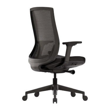 Ofinto Ergo chaise ergonomique Noire avec accoudoirs - Soutien lombaire réglable – Image 2