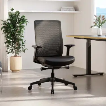 Ofinto Ergo chaise ergonomique Noire avec accoudoirs - Soutien lombaire réglable – Image 4